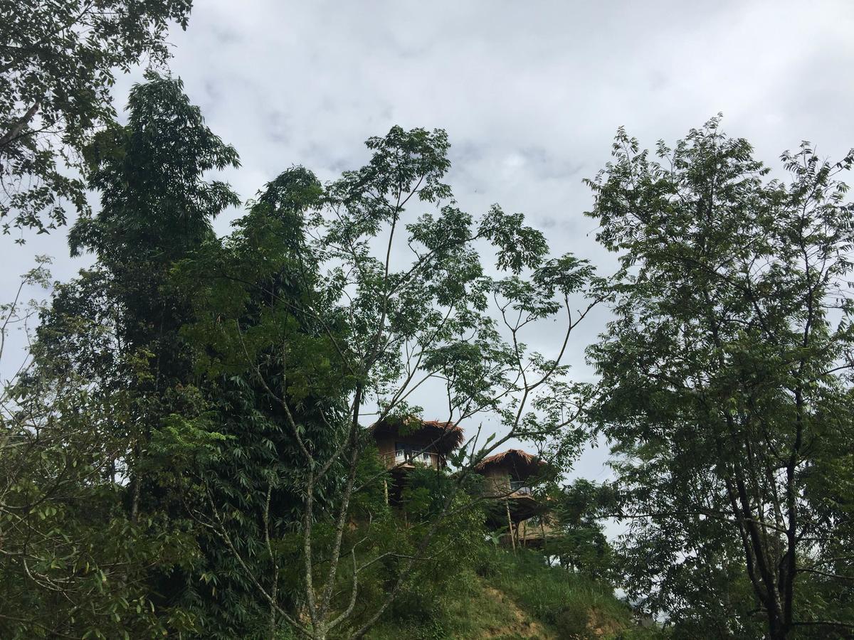 Eco Hills Homestay Sapa Exterior foto